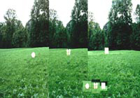 Astrophysik, erklärt von Dr. Klaus Fuhrmann