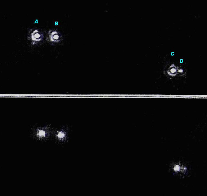 La Palma Astrophysik mit Dr. Klaus Fuhrmann