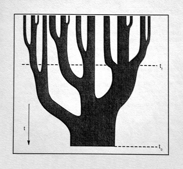La Palma Astrophysik mit Klaus Fuhrmann