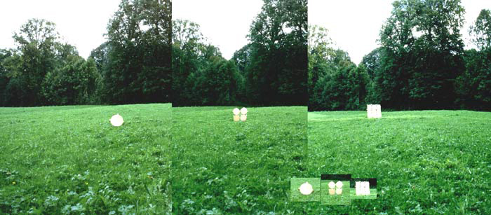 La Palma Astrophysik mit Klaus Fuhrmann