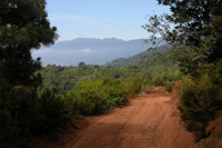  Einsame Wege auf La Palma, kein Problem