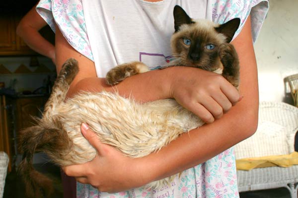 Paul, wie ein begossener Pudel