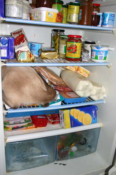 Paul und der Raubüberfall