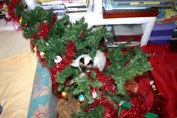 Paul erklärt, Weihnachten ist zu Ende