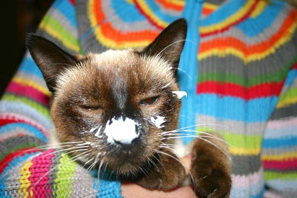 Paul, ein echter Naseweiß