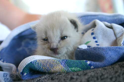 Paul, als kleiner Mann auf La Palma