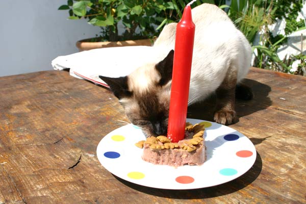 Paul Kumpel hat años