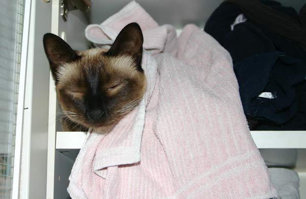 Paul vorsicht, depressive Männer