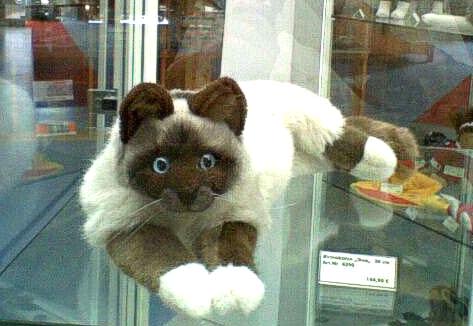 Paul, es kann nur einen geben