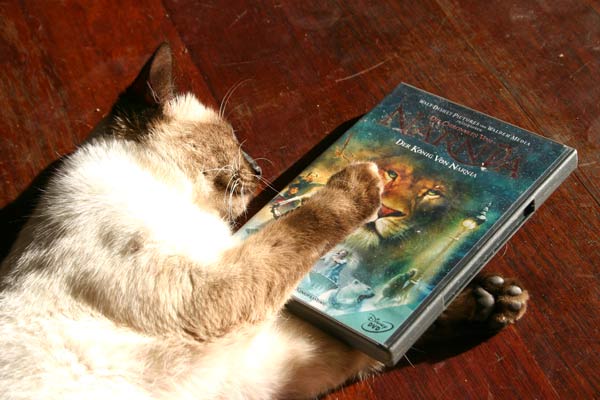 Paul, wie der Herr, so´s Gscherr