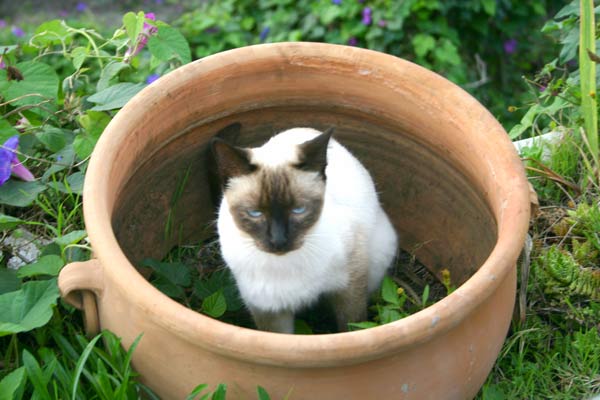 Paul, der macht einen ganz dusselig, der Wind