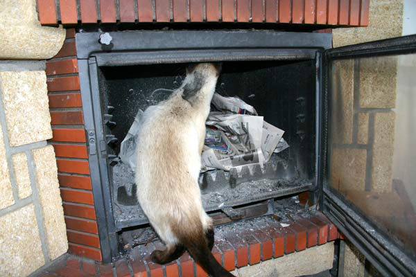 Paul sucht nach Gollums Ring in der Asche