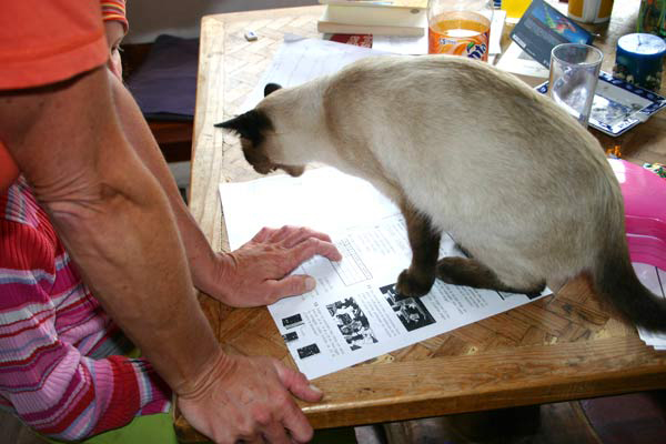 Paul erklärt die Binomischen Formeln in seiner gang eigenen Art