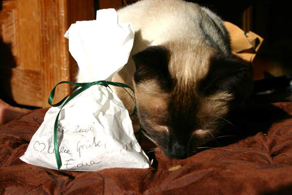 Bio-Leckerli aus Österreich, From Fiona with Love halt