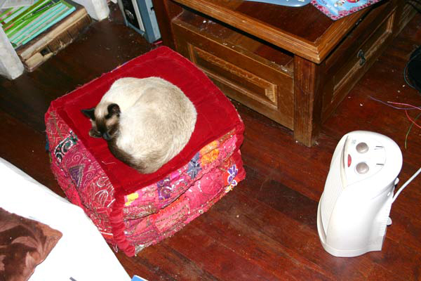 Paul auf dem Puff und der Heizlüfter läuft, da denkt man doch so gar nicht an Kanarische Inseln