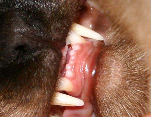 Wenn mal wollte, dann könnte man damit ganz gut zupacken