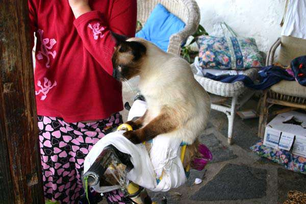 Immer diese Radfahrer will einem da einfallen und Paul genießt zumindest die Aufmerksamkeit