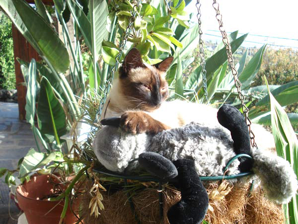 Paul beobachtet die Welt am liebsten von sicheren Standorten aus