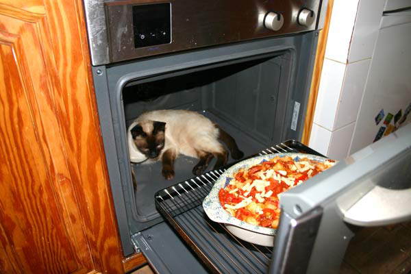 Wie verhindert man einen Nudelauflauf - Nur unter Einsatz seines Lebens