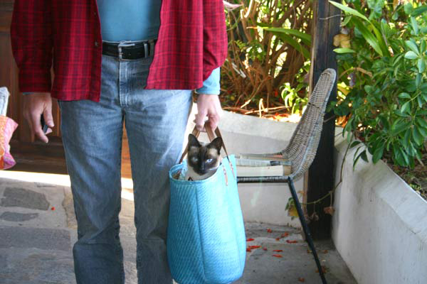 So weit die Menschen tragen. - Paul ist eine getragene Persönlichkeit