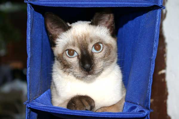 Paul hat die Waschmaschine wieder gefunden