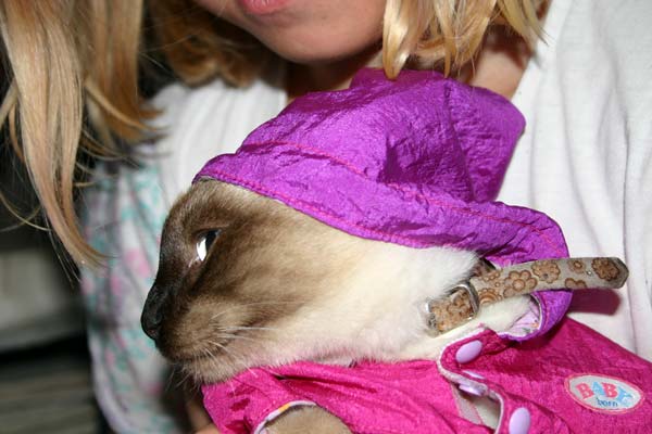 Paul in Poleposition